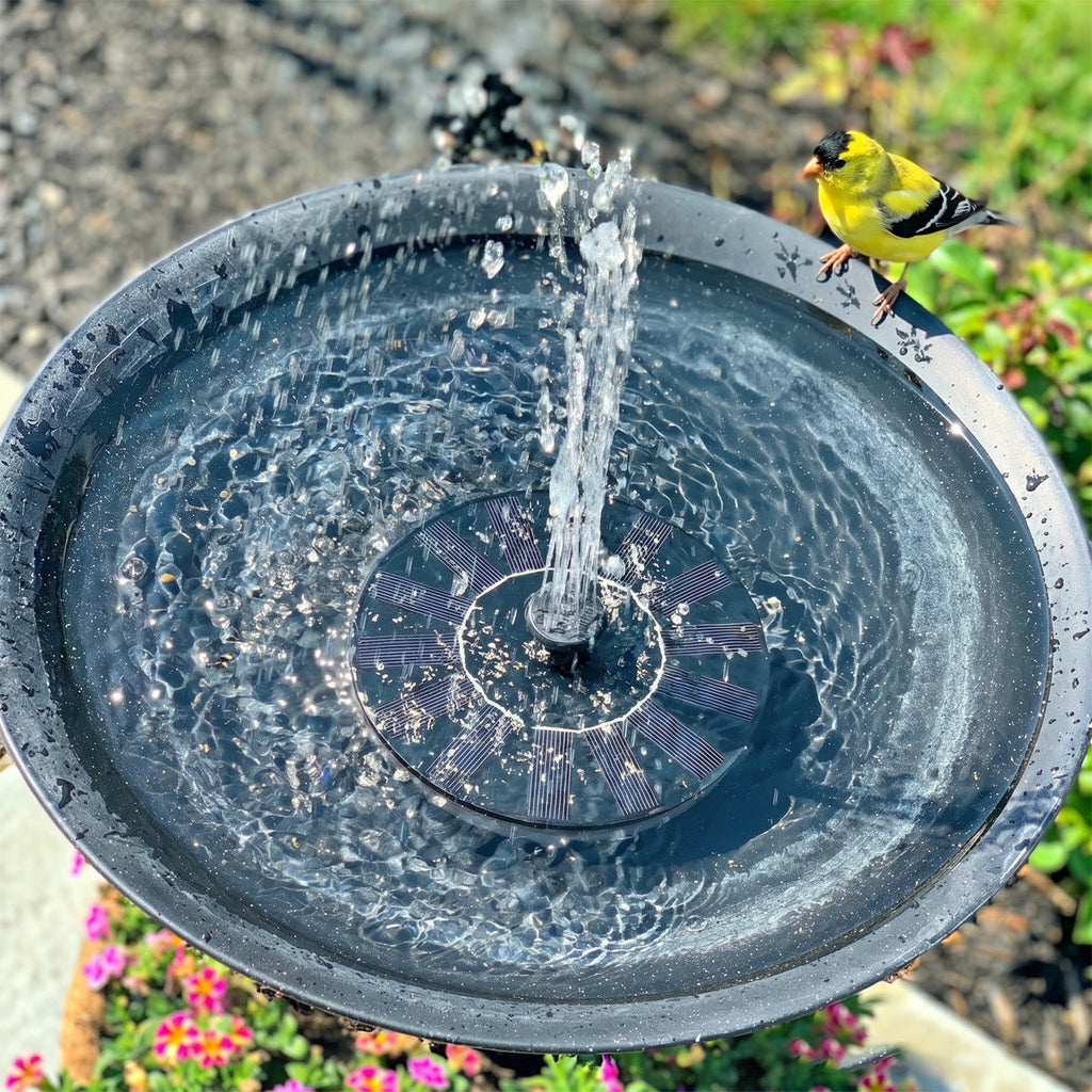 Solar Bird Bath Fountain Pump